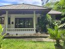  - ให้เช่าบ้านเดี่ยวชั้นเดียว 40ตรว. อยู่สุขุมวิท 42 ช่วงแยกกล้วยน้ำไท พระราม4 คลองเตย