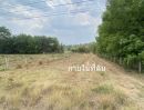  - ขายที่ดิน 9 ไร่ ต จอมศรี อ เชียงคาน เลย ติดถนนใหญ่ขายต่ำกว่าราคาประเมิน60เปอร์เซ็น ุ