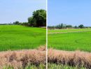 - ขายที่ดินคลองสาม คลองหลวง ปทุมธานี แปลงใหญ่ 36 ไร่เศษ ผังสีชมพู ใกล้วัดพระธรรมกาย