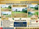 - ที่ดินราคาถูกถมแล้วทั้งผืน 2แปลงติดกัน บรรยากาศดี เป็นส่วนตัว น้ำ.ไฟพร้อม เข้า.ออกสะดวก ใกล้เลี่ยงเมือง.ถนนมิตรภาพ เข้าเมือง10นาที เมืองขอนแก่น