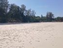 - ที่ดินติดทะเลชุมพร19ไร่ อ.ปะทิว ใกล้สนามบินชุมพร