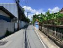  - ขายที่ดินเลี่ยงเมืองปากเกร็ด 100 ตารางวา) (ติดถนนสาธารณะ2ด้าน ถมแล้ว ซอย ต้นสน ปากเกร็ด นนทบุรี