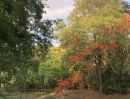 - Rare Property! ขายไร่พุทธะประทาน สวนป่าธรรมชาติ พร้อมลำธารไหลผ่าน ต้นไม้ใหญ่ทั้งสวน วิวภูเขา พร้อมบ้านพัก ติดถนนหลวง บนพื้นที่กว่า 16 ไร่ จ.กาญจนบุรี