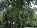 - Rare Property! ขายไร่พุทธะประทาน สวนป่าธรรมชาติ พร้อมลำธารไหลผ่าน ต้นไม้ใหญ่ทั้งสวน วิวภูเขา พร้อมบ้านพัก ติดถนนหลวง บนพื้นที่กว่า 16 ไร่ จ.กาญจนบุรี