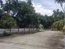  - ที่ดินทำเลศักยภาพ ใกล้แม่น้ำกก พร้อมสร้างบ้าน อำเภอเมือง เชียงราย พื้นที่ 201 ตร.ว.
