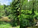 - ขายที่ดินผืนใหญ่พร้อมสวนปาล์มและสวนยางพารา มีลำห้วยโอมล้อม ต.บางหิน อ.กะเปอร์ จ.ระนอง