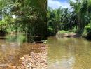 - ขายที่ดินผืนใหญ่พร้อมสวนปาล์มและสวนยางพารา มีลำห้วยโอมล้อม ต.บางหิน อ.กะเปอร์ จ.ระนอง