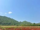  - ขายที่ดินเขาวง หนองน้ำแดง เขาใหญ่ ปากช่อง 1.5ไร่ วิวเขาสวยมาก ถนนลาดยางสาธารณะ เดินทางสะดวก ใกล้ธนะรัชต์ มอเตอร์เวย์M6 ที่สูง เหมาะปลูกบ้านตากอากาศ