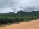 - ขออนุญาติฝากขายที่ดินกลางดง ปากช่องแปลงงาม(โฉนด) เนื้อที่ 1-3 ไร่ ติดเขาใหญ่ ใกล้ถนนมิตรภาพและทางหลวงพิเศษหมายเลข 6
