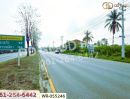 - ที่ดินโคกไม้ลาย 46 ไร่ 311 ตร.ว. แยกหนองชะอม เมืองปราจีนบุรี ใกล้ มจพ.วิทยาเขตปราจีนบุรี
