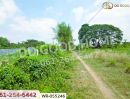 - ที่ดินโคกไม้ลาย 46 ไร่ 311 ตร.ว. แยกหนองชะอม เมืองปราจีนบุรี ใกล้ มจพ.วิทยาเขตปราจีนบุรี