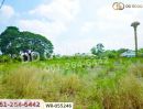 - ที่ดินโคกไม้ลาย 46 ไร่ 311 ตร.ว. แยกหนองชะอม เมืองปราจีนบุรี ใกล้ มจพ.วิทยาเขตปราจีนบุรี