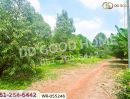 - ที่ดินโคกไม้ลาย 46 ไร่ 311 ตร.ว. แยกหนองชะอม เมืองปราจีนบุรี ใกล้ มจพ.วิทยาเขตปราจีนบุรี