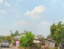 - ขายที่ดิน 1 ไร่พร้อมต้นสักทอง กาญจนบุรี เหมาะสร้างบ้านสวน ลงทุนทำรีสอร์ท คาเฟ่