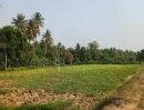 - ที่ดินเปล่า 150 ตร.วา ทำเลดี ราคาคุ้ม ตำบลสร้อยฟ้า อำเภอโพธาราม จังหวัดราชบุรี ราคาเพียง 350,000 บาท