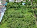 - ที่ดินเปล่า 700 ตร.วา บางใหญ่ - นนทบุรี ถมแล้ว