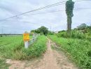 - ขายที่ดิน ซอยวัดศรีประชาธรรม(วัดใหม่บัวชม) วังน้อย