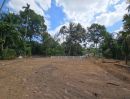 - ลดด่วน 400,000 บ.!! ที่ดิน 60 ตร.ว. ทำเลทอง ใจกลางอำเภอเมือง กระบี่ ใกล้เซ็ลทรัล สนง.เทศบาลเมืองกระบี่