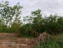 - ขายด่วนที่ดินบงกช 1 ไร่ ติดถนนสาธารณะ ซอย บงกช 6 คลองหลวง ปทุมธานี