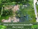 - ขายที่ดินบ้านนา นครนายก 547 ตร.วา แปลงมุม ติดถนน ติดน้ำ ราคาต่ำกว่าราคาประเมินกรมที่ดิน อยู่ในชลพฤกษ์รีสอร์ท