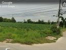 - ขายที่ดินติดอ่างเก็บน้ำมาบประชัน เมืองพัทยาจังหวัดชลบุรี มี 3 แปลง