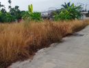 - ขาeที่ดิน พรประภานิมิตร 27/1 พัทยา มีโฉนด 2 ใบ