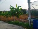 - ขาeที่ดิน พรประภานิมิตร 27/1 พัทยา มีโฉนด 2 ใบ