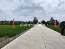 - ขายด่วน ที่ดินแปลงสวยราคาไม่แพง เนื้อที่ 10 ไร่ อยู่ตำบลลำพญา อำเภอบางเลน จังหวัดนครปฐม