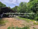 - ขายด่วน ที่ดินแปลงสวยราคาไม่แพง เนื้อที่ 10 ไร่ อยู่ตำบลลำพญา อำเภอบางเลน จังหวัดนครปฐม