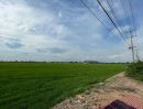 - ขายทำเลดีและพื้นที่ที่ดินสวยมาก ต.บางพระขาว อ.บางบาล จ.พระนครศรีอยุธยา