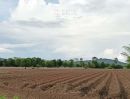 - ขายที่ดิน 42ไร่ ชัยนาท ที่สูง เห็นวิวเขาสวย ขายถูกราคาถูก
