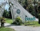 - ขายที่ดินทะเล เดินลงหาดได้เลย พื้นที่ 8ไร่ 3 งาน 25 ตรว. นาจอมเทียน