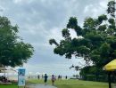 - ขายที่ดินทะเล เดินลงหาดได้เลย พื้นที่ 8ไร่ 3 งาน 25 ตรว. นาจอมเทียน