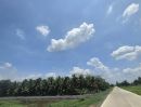  - เข้าใหม่คลอง8 200ตรว.เจ้าของร้อนมาก ถนน 8 เมตร ไฟฟ้า น้ำประปาทำให้ครบเข้าซอยบึงบอน33 สุดซอย เลี้ยวขวา 200เมตร #ราคา 650,000บาท