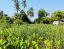 - ที่ดินติดแม่น้ำท่าจีน ทำเลศักยภาพ พุทธมณฑลสาย 7 เหมาะพัฒนาโครงการหลากหลายรูปแบบ ทางเข้าทรงคนอง ตำบลท่าตลาด อำเภอสามพราน จังหวัดนครปฐม