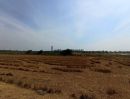 - ขายที่ดินเปล่า 3 เเปลง ทำเลดี บางพลี จังหวัดสมุทรปราการ Land for Sale 3 Plots in Bang Sao Thong Bang Phli, Samut Prakan