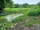 - ขายที่ดินไทรน้อย หนองเพรางาย นนทบุรี 500 ตร.ว.หรือ 1 ไร่ 1 งาน