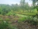  - ขายที่ดินไทรน้อย หนองเพรางาย นนทบุรี 500 ตร.ว.หรือ 1 ไร่ 1 งาน