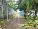  - ขายที่ดินไทรน้อย หนองเพรางาย นนทบุรี 500 ตร.ว.หรือ 1 ไร่ 1 งาน
