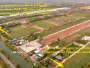 - ขายที่ดินแถมบ้านติดถนนลาดยางเรียบ คลอง 12 หนองเสือ 2 ไร่ ติดถนน 2 ด้าน ทำเลเหมาะค้าขาย เหมาะทำโกดัง อยู่ใกล้แหล่งชุมชน