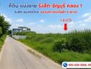 - ขายถูกที่ดิน1-0-0 ไร่ ธัญบุรี คลอง1 อนาคตจะมีรถไฟฟ้าสีแดงคลอง1, ม.ธรรมศาสาตร์,ม.กรุงเทพ รังสิต-นครนายก 17 เข้าซ. 450 ม. ธัญบุรี ปทุมธานี
