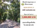  - ขายที่ดินคุณภาพพิกัดถนนลำลูกกาคลอง 13 เขต พืชอุดม