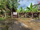 - ขายที่ดิน 100 ตร.ว. พหลโยธิน 54/1 สายไหม ใกล้รถไฟฟ้าสายสีเขียว สถานีแยก คปอ.