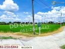 - ที่ดินบางคูวัต ติดคลองหนามแดง 1 ไร่ 226.7 ตร.ว. ปทุมธานี ใกล้สำนักงานเทศบาลตำบลบางเดื่อ