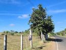 - ที่นาทำเลดี ติดถนนลาดยาง กลางชุมชน อยู่อาศัยได้ นางรอง บุรีรัมย์
