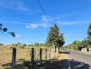 - ที่นาทำเลดี ติดถนนลาดยาง กลางชุมชน อยู่อาศัยได้ นางรอง บุรีรัมย์