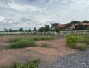 - ขายที่ดินจัดสรร คลอง 13 ถนนเลียบคลอง 33 ตำบลศาลาครุ อำเภอหนองเสือ ปทุมธานี