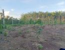  - ขายที่ดิน 10.5 ไร่ พร้อมสวนยางพารา ต.กระแจะ อ.นายายอาม จ.จันทบุรี ราคาถูกมาก ซื้อแล้ว รอรับรายได้ ได้เลย