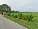  - ขายที่ดิน 66 ไร่ ถนนบ้านดอนนาลุ่ม ตำบลหนองขนาน อำเภอเมืองเพชรบุรี จังหวัดเพชรบุรี
