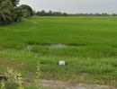  - ขายที่ดิน 66 ไร่ ถนนบ้านดอนนาลุ่ม ตำบลหนองขนาน อำเภอเมืองเพชรบุรี จังหวัดเพชรบุรี